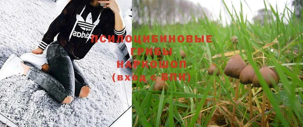 прущая мука Бронницы
