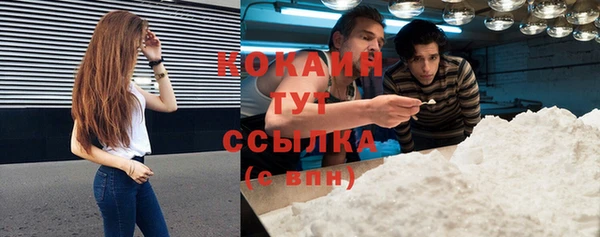 соль курить ск Бородино
