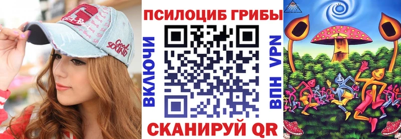 Псилоцибиновые грибы Cubensis  Купить  Агрыз 
